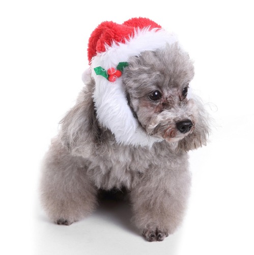 ☻ PET ☻ Santa&#039;s beard Hat 산타수염모자